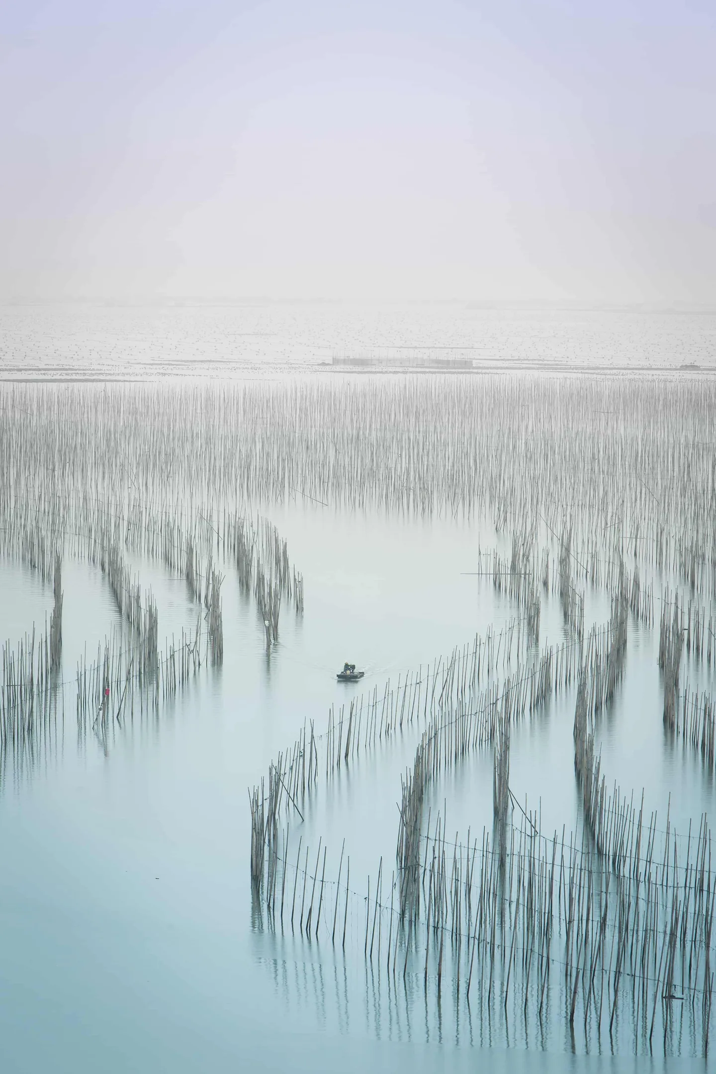水3