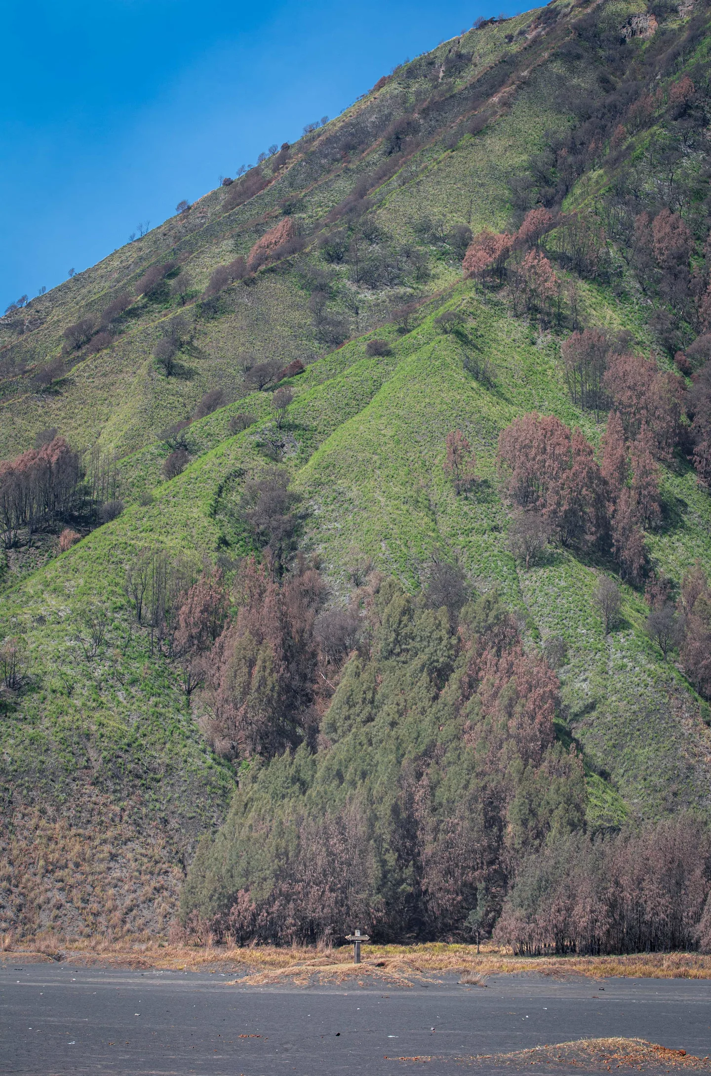 山5