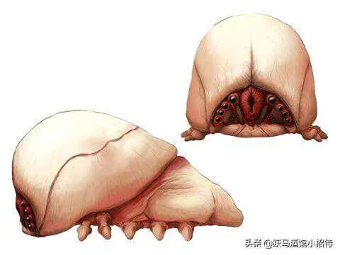 生物设计