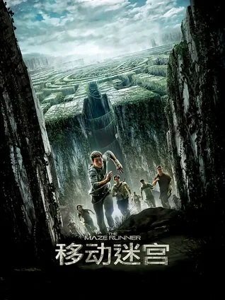 迷宫生存 🧩 集体逃脱 🚪 机构阴谋 🧠 少年团体 👦